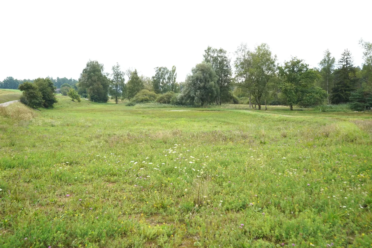 Naturschutzgebiet Wildert in Illnau-Effretikon.